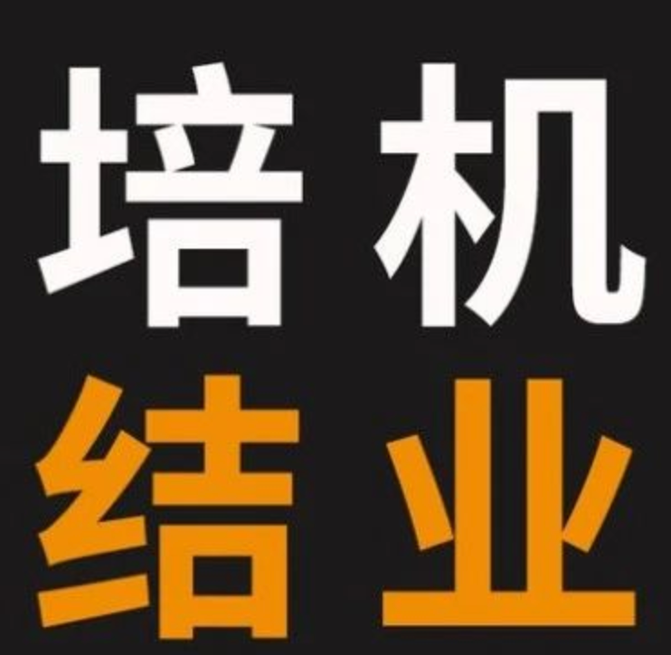 从东方启明星到秦汉胡同：非学科教培正在一栋栋倒下