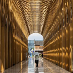 杭州养出了六条科技小龙，全靠想象力？