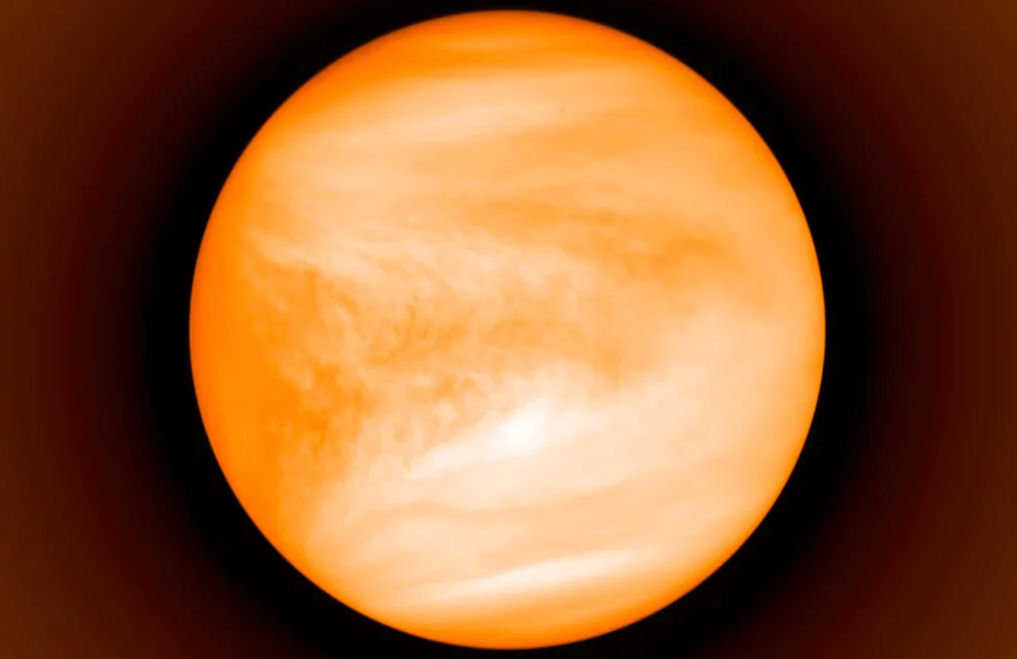 金星上有生命吗